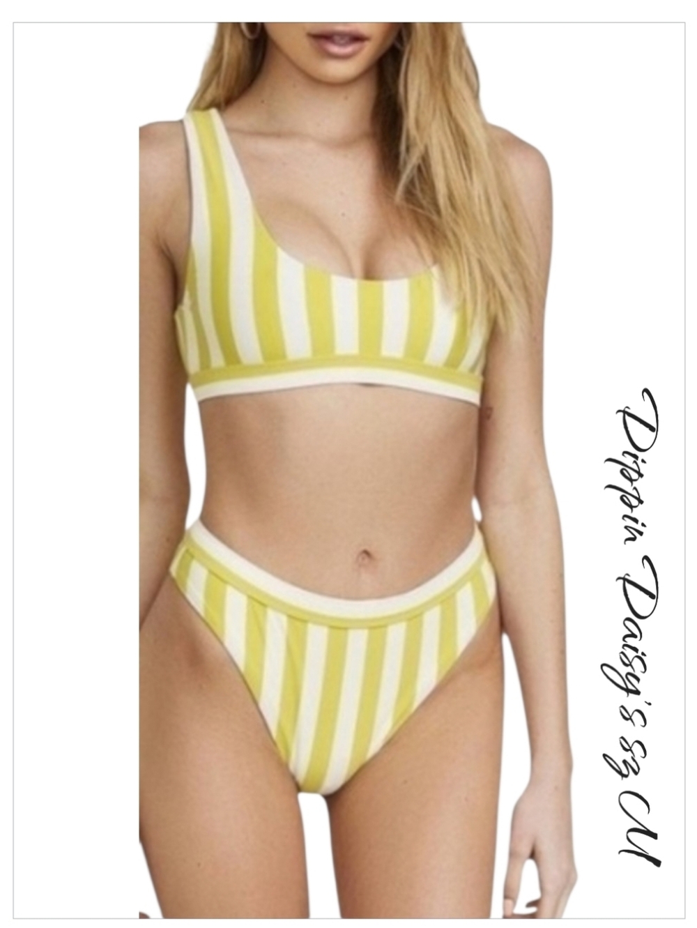 NWT Dippin Daisy's Bikini Swimsuit High Waist Leg Cut Stripped Meduim